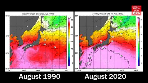 japan sea temperature